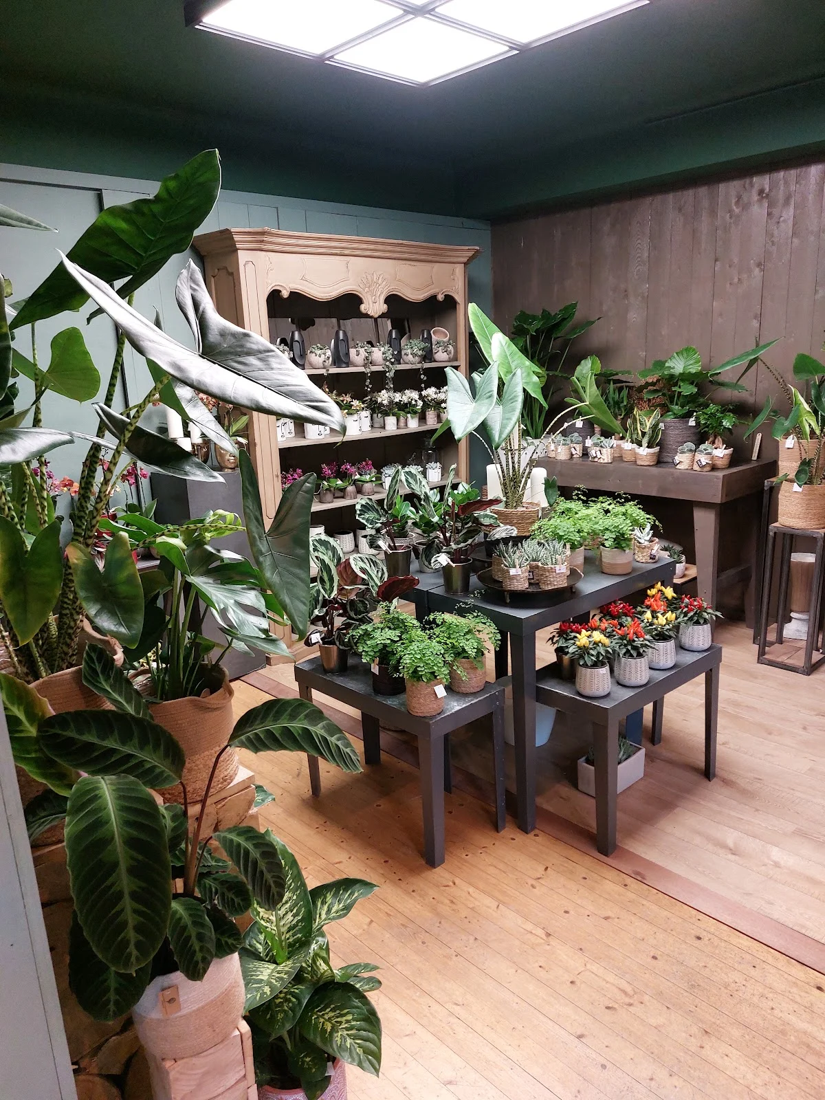 Bourgeon Nantes Fleuriste - 2
