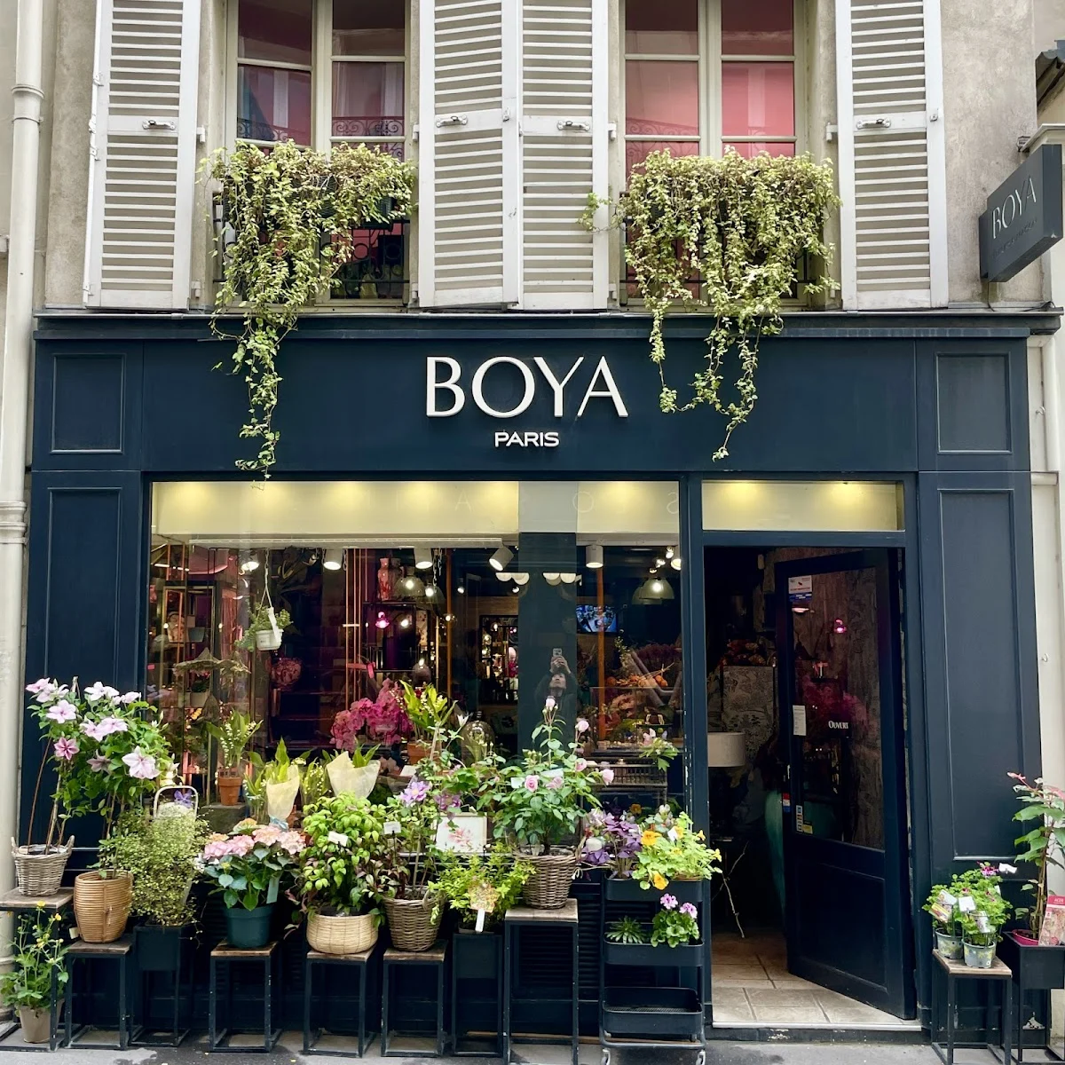 Boya - Fleurs & Maison