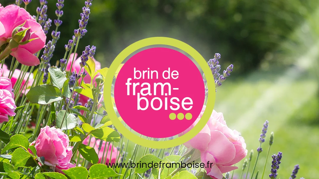 Brin de Framboise - Fleuriste 91 | Compositions florales - 4