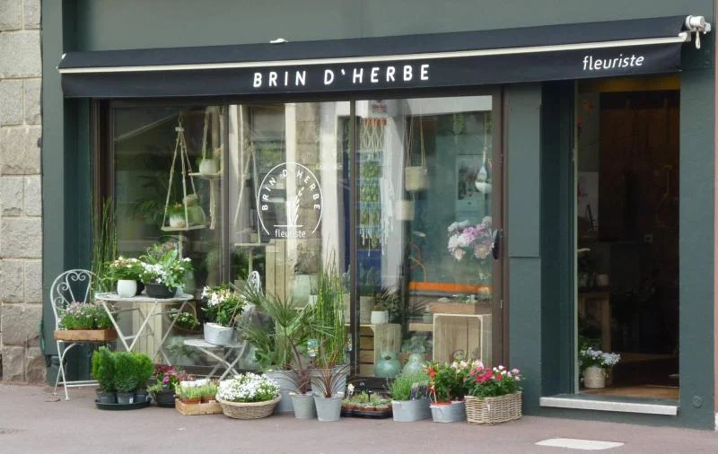 Brin d'herbe Fleuriste Lorient