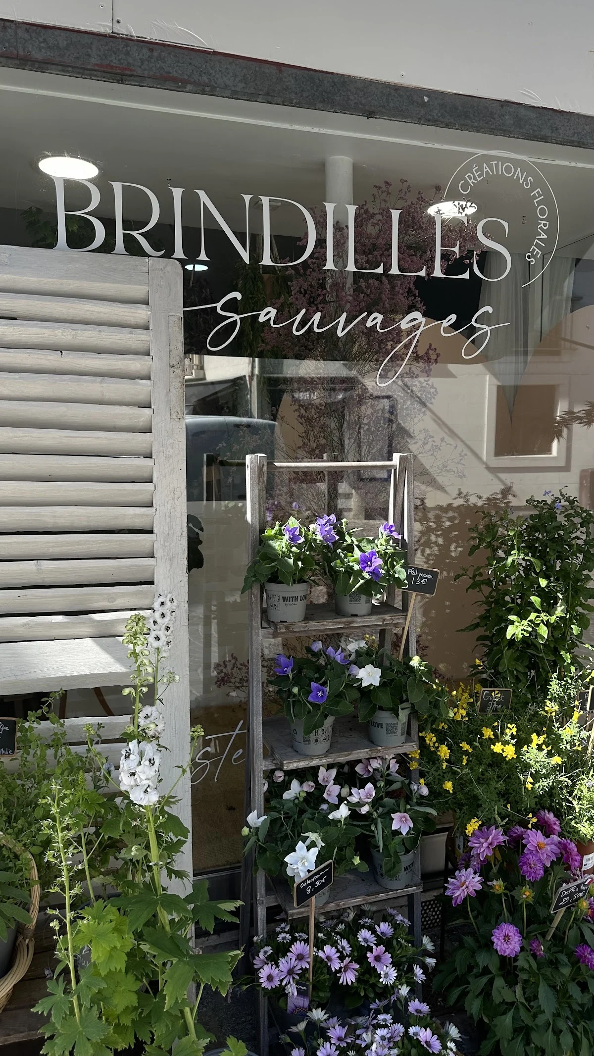 Brindilles sauvages - 2