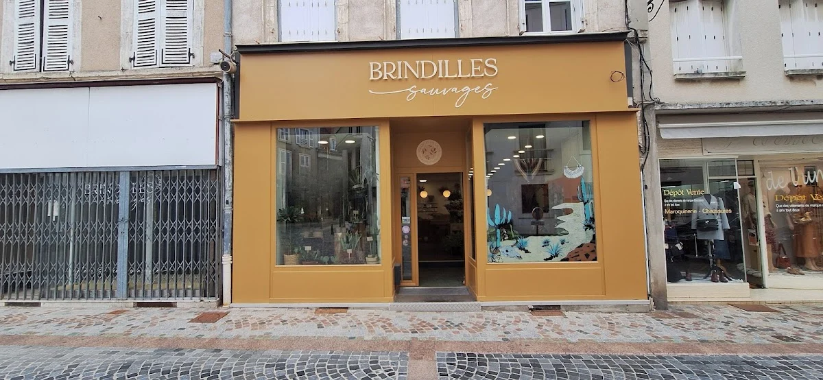 Brindilles sauvages