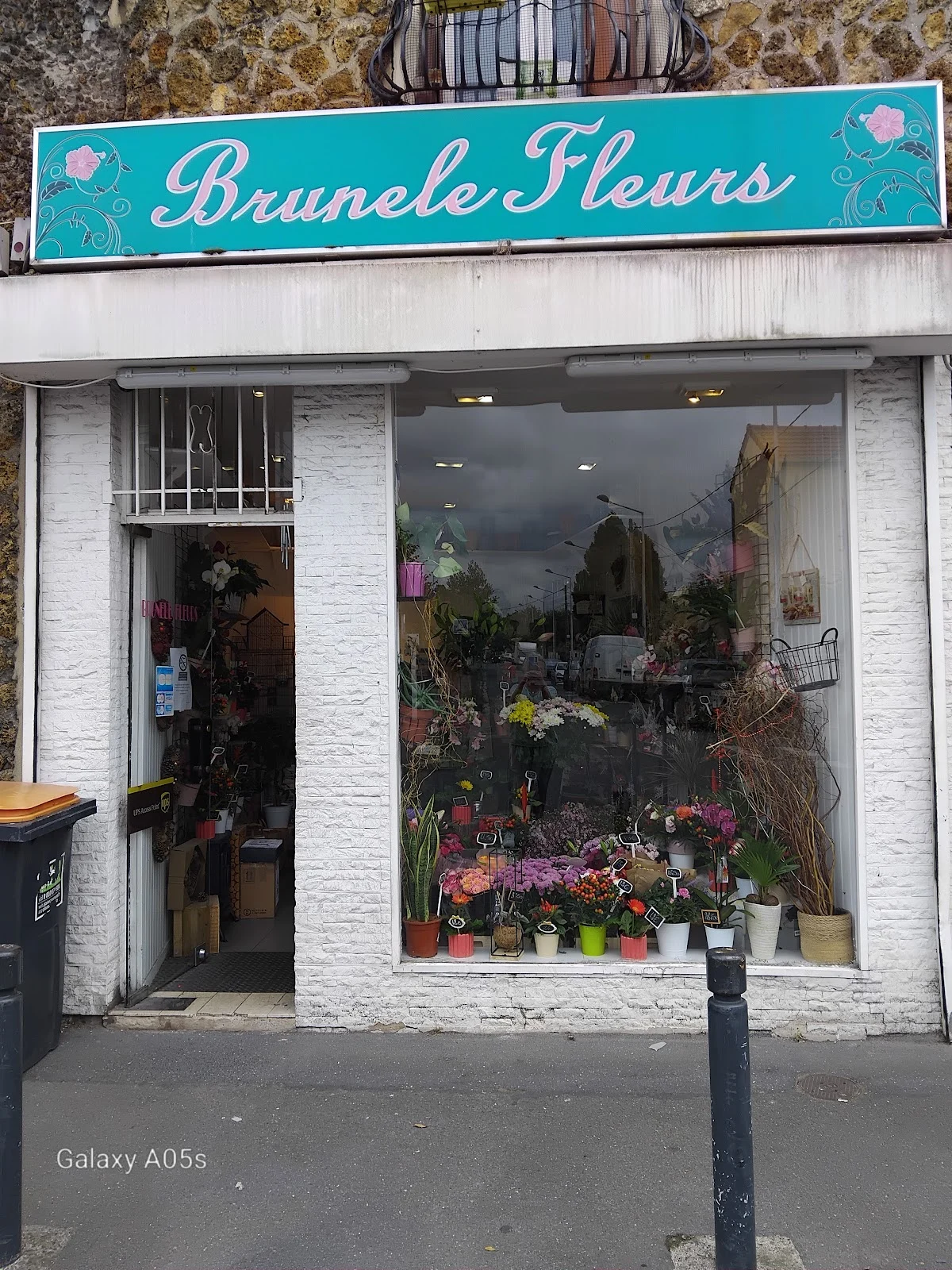 Brunele fleurs