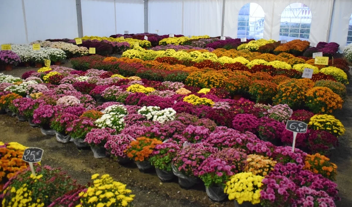 Cagnes Fleurs