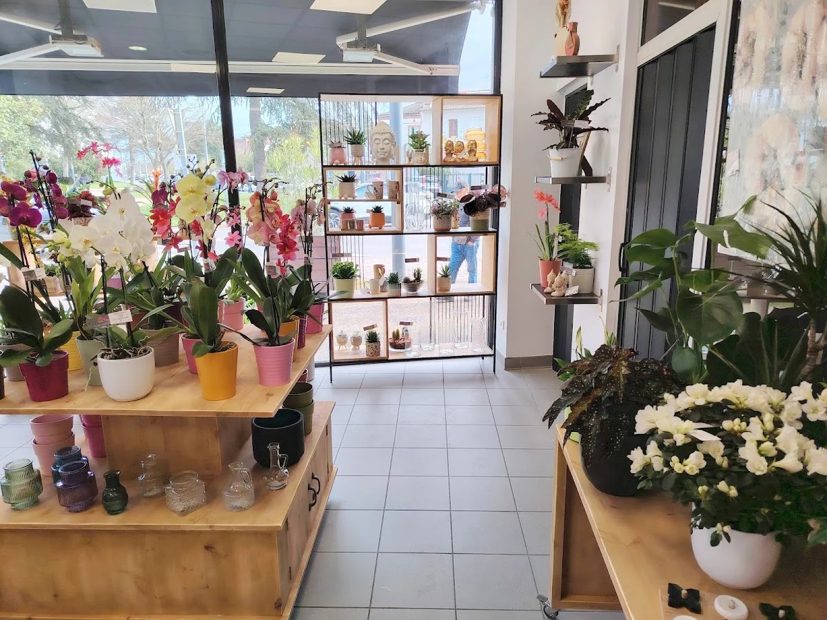 Calypso Fleurs Colomiers | Fleuriste Colomiers - 2
