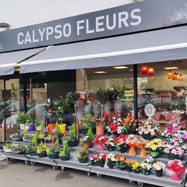 Calypso Fleurs Colomiers | Fleuriste Colomiers - 4