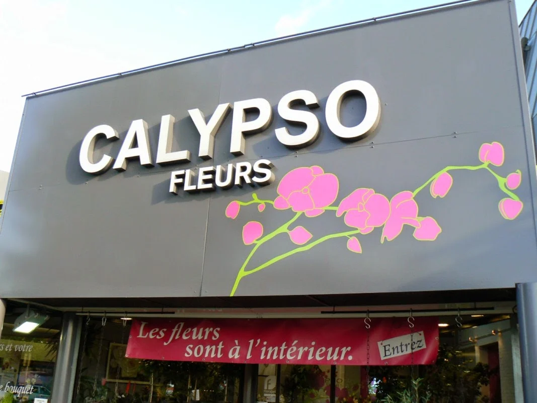 Calypso Fleurs Tournefeuille | Fleuriste Tournefeuille