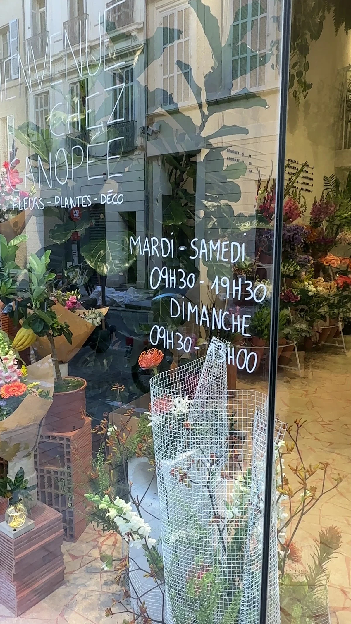 Canopée - Jardinerie et Fleuriste Marseille - 6