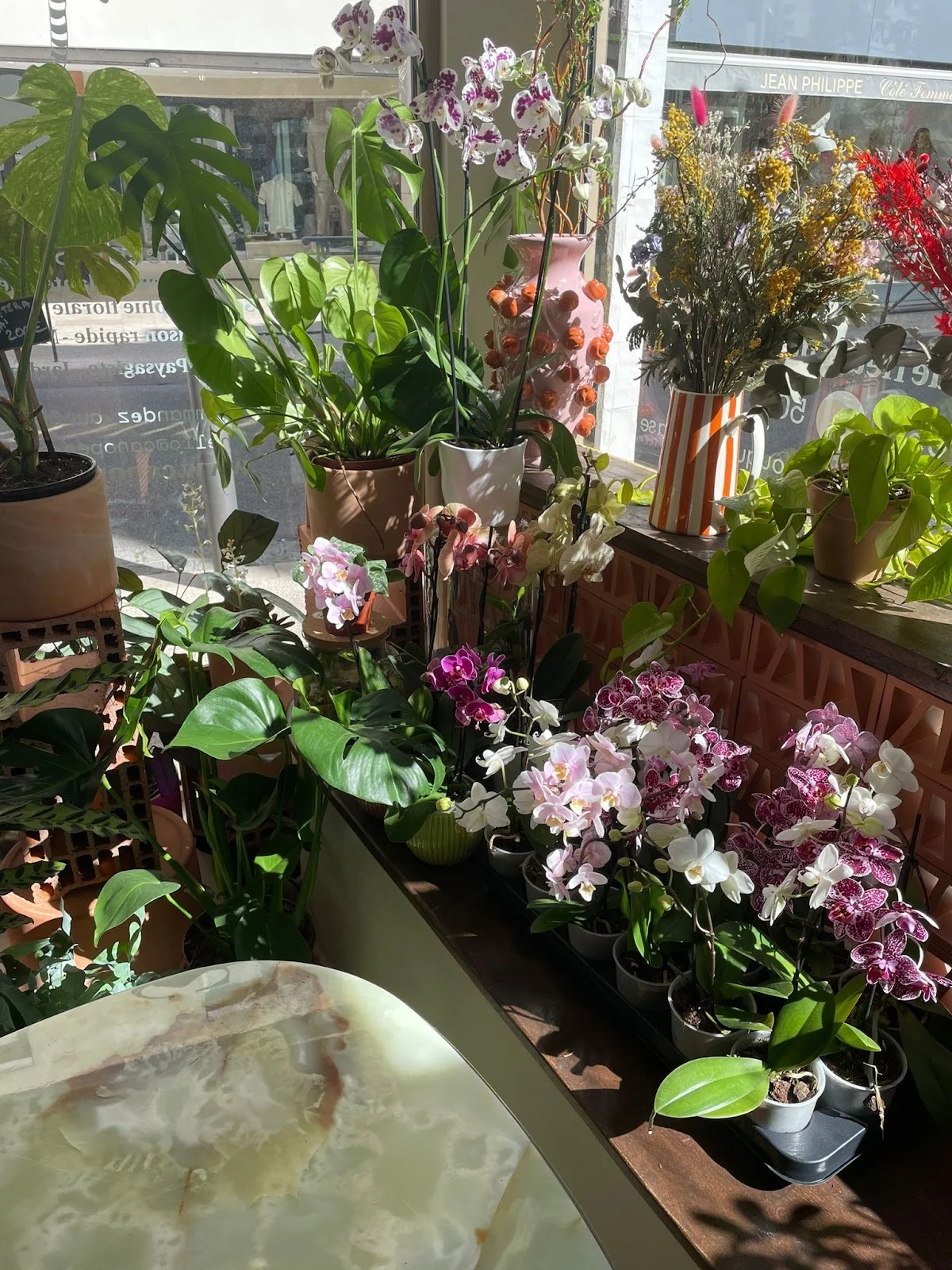 Canopée Saint-Barnabé - Jardinerie & Fleuriste Marseille - 3
