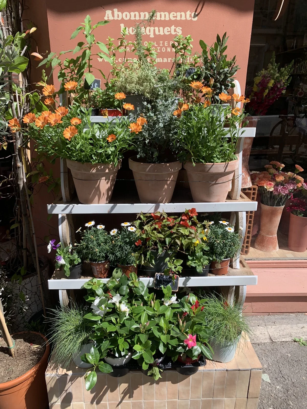 Canopée Vauban - Jardinerie et Fleuriste Marseille - 2