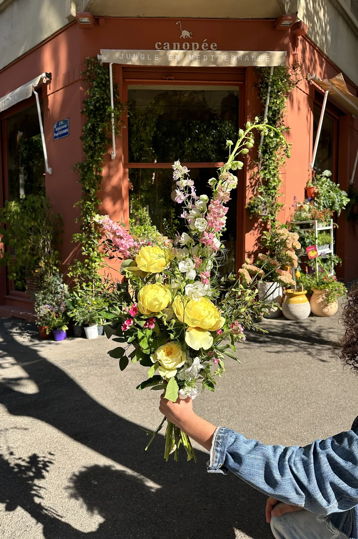 Canopée Vauban - Jardinerie et Fleuriste Marseille - 6