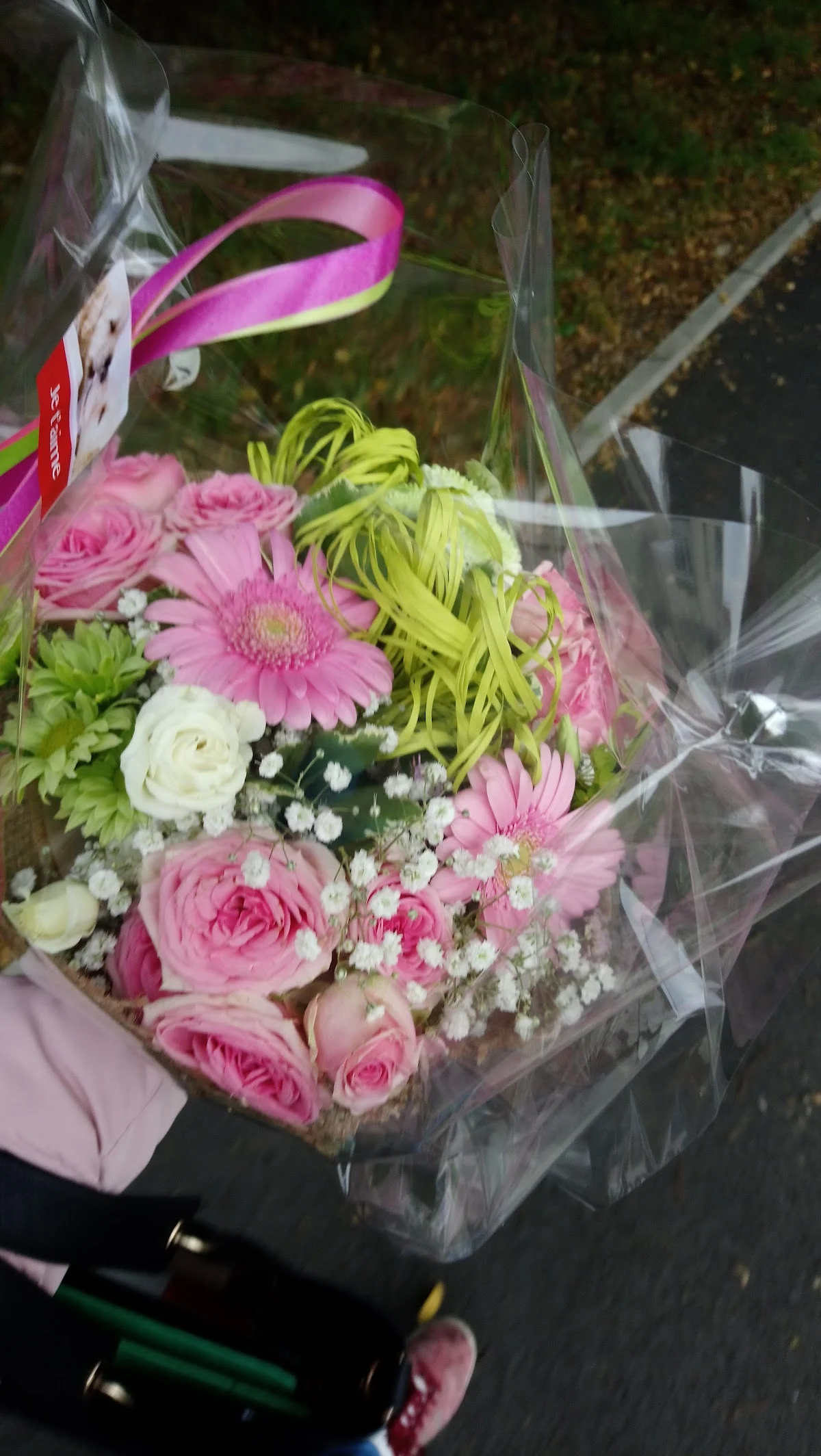 Capucine Fleurs