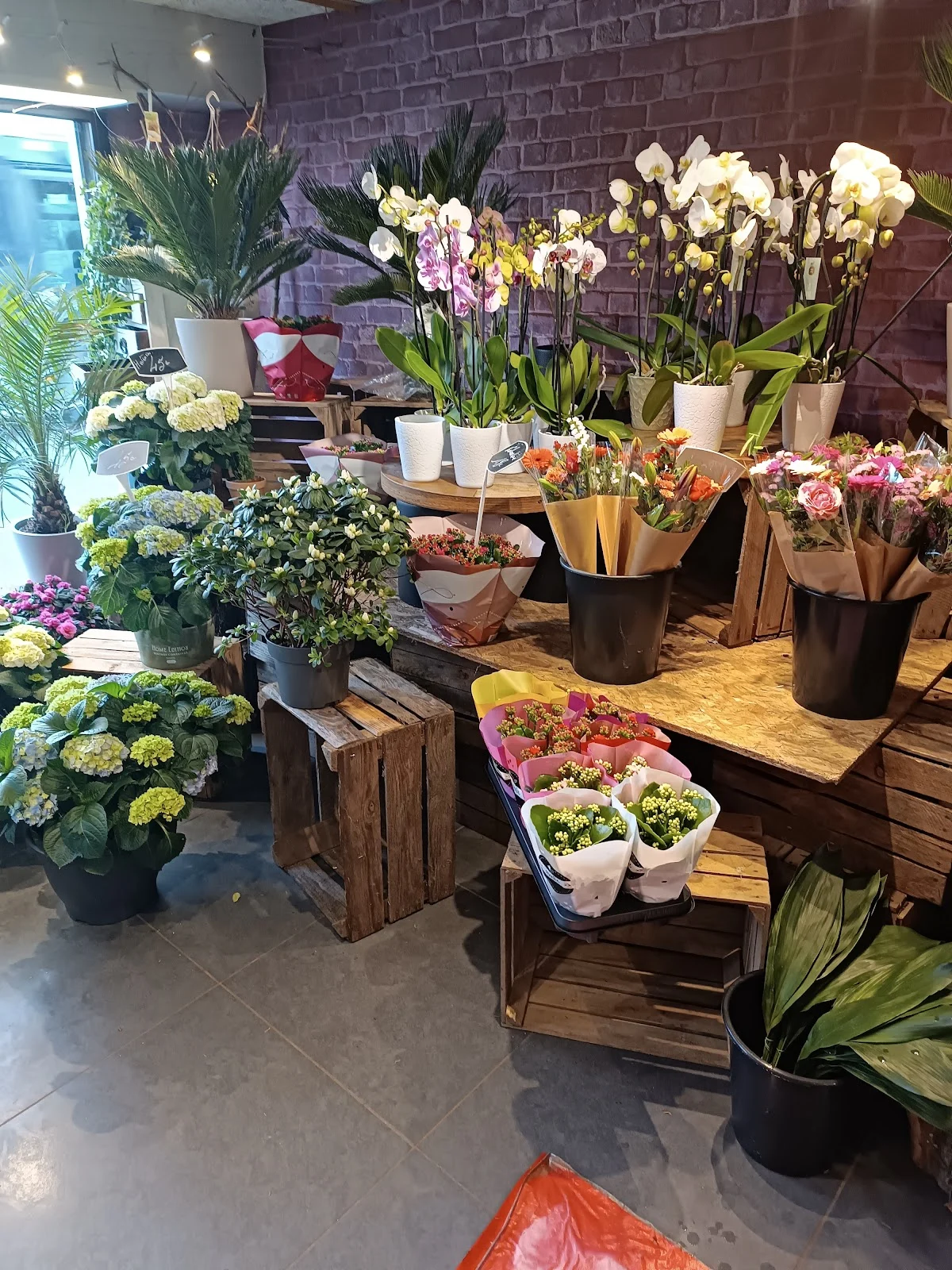 Carmen Fleurs