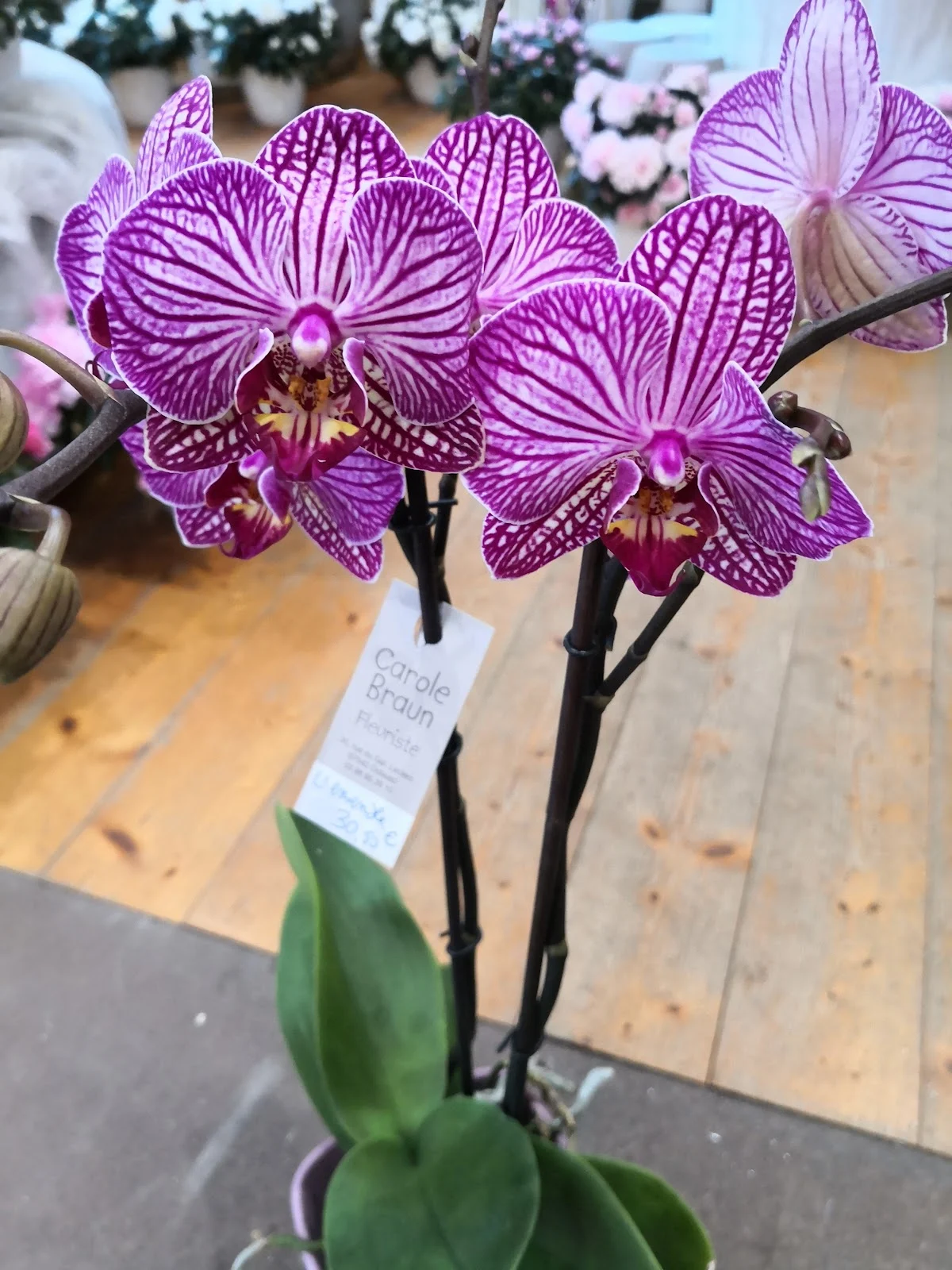 Carole Braun Fleuriste - 3