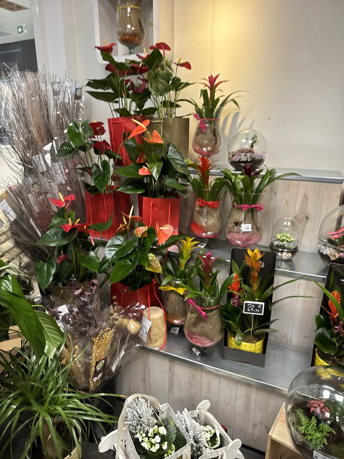 Carrefour fleurs