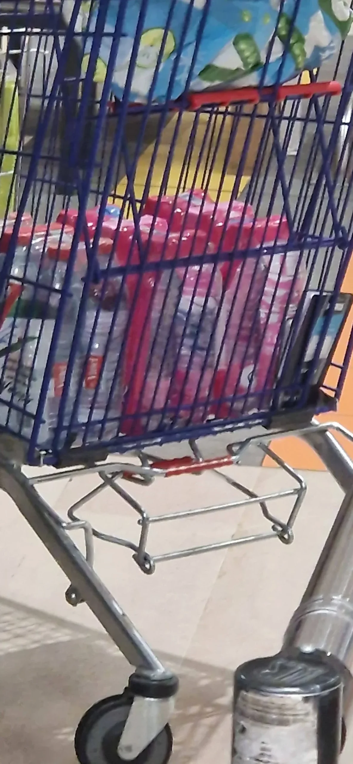 Carrefour fleurs