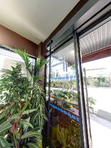 Carrément Fleurs - Fleuriste Auch 32 - Livraison de fleurs à domicile - 6