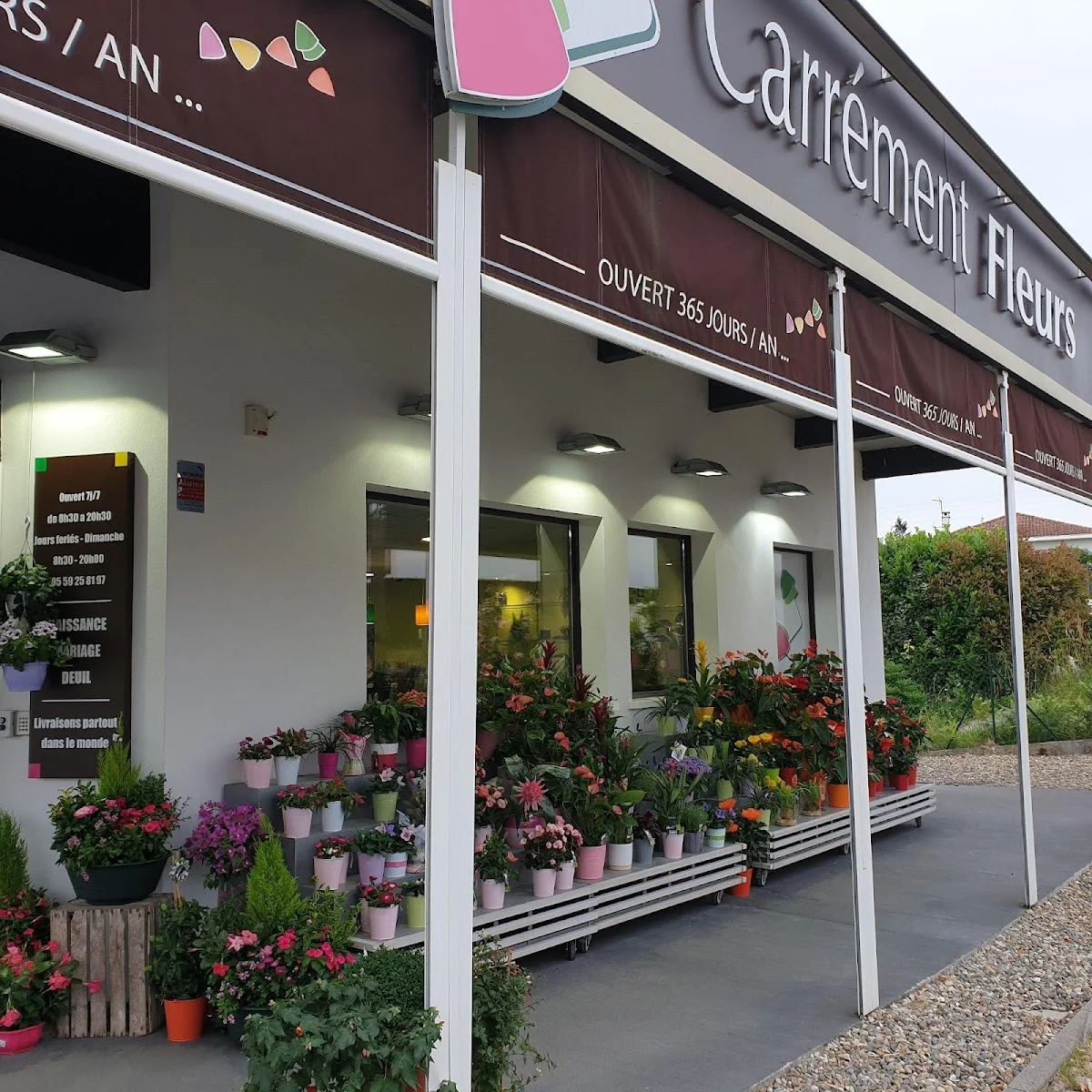 Carrément Fleurs - Fleuriste Bayonne 64 - Livraison de fleurs à domicile