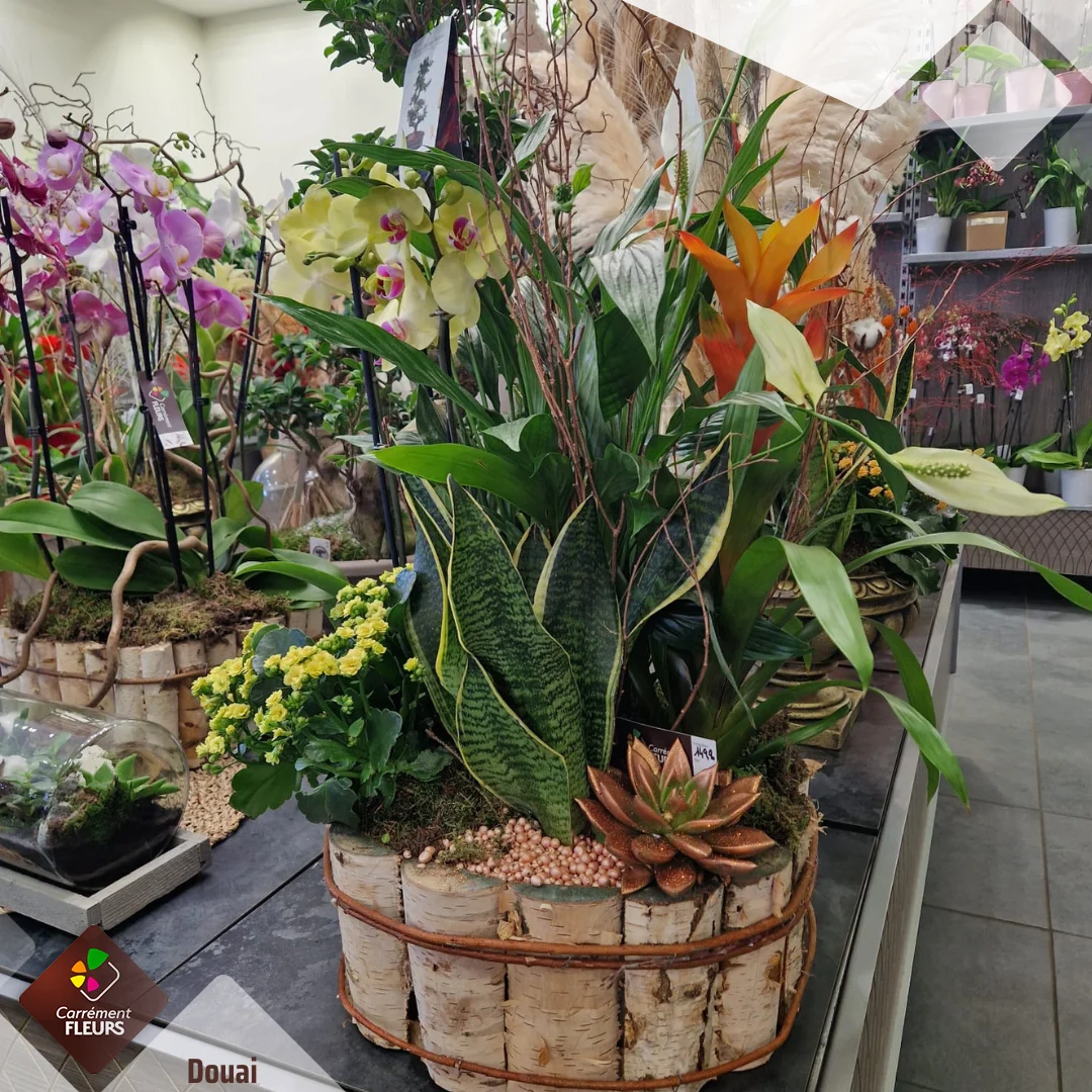 Carrément Fleurs - Fleuriste Douai 59 - Livraison de fleurs à domicile - 4