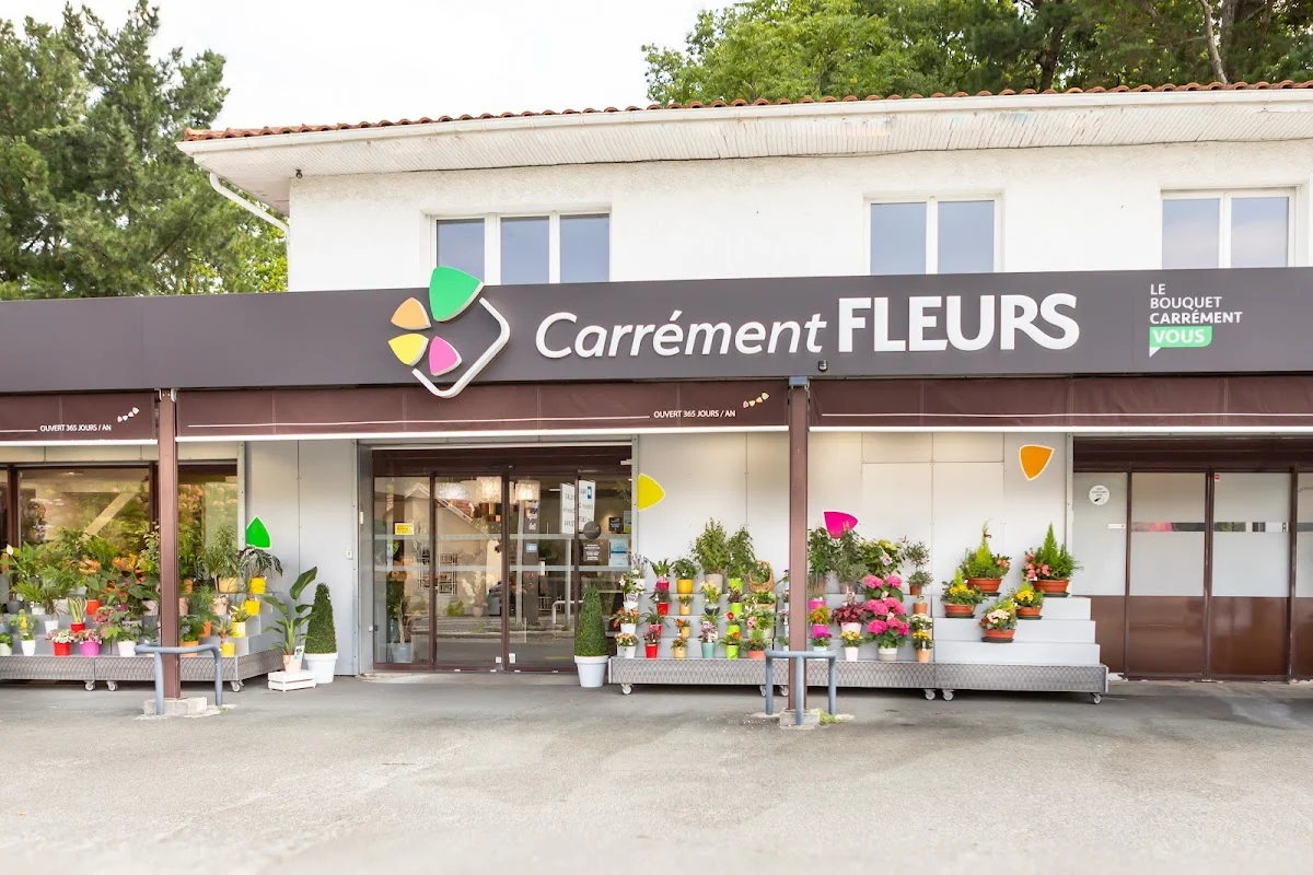 Carrément Fleurs - Fleuriste Eysines Bordeaux 33 - Livraison de fleurs à - 5