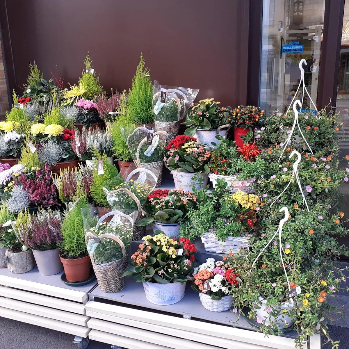 Carrément Fleurs - Fleuriste Firminy 42 - Livraison de fleurs à domicile - 3