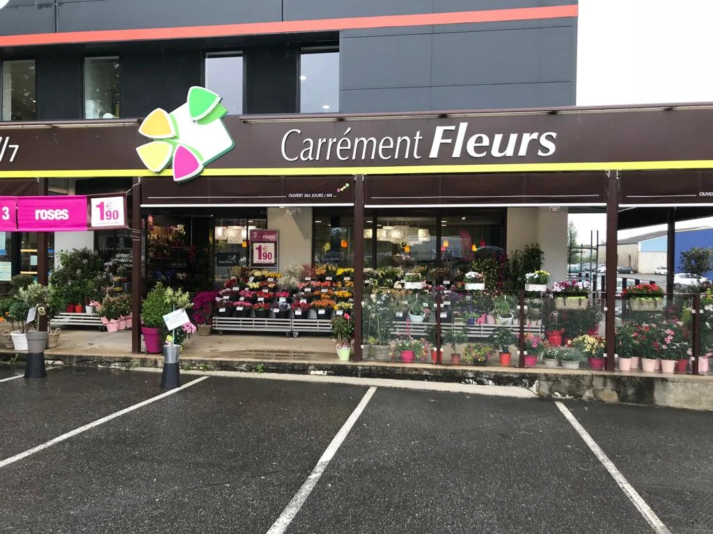 Carrément Fleurs - Fleuriste Montauban Albasud 82 - Livraison de fleurs à - 6