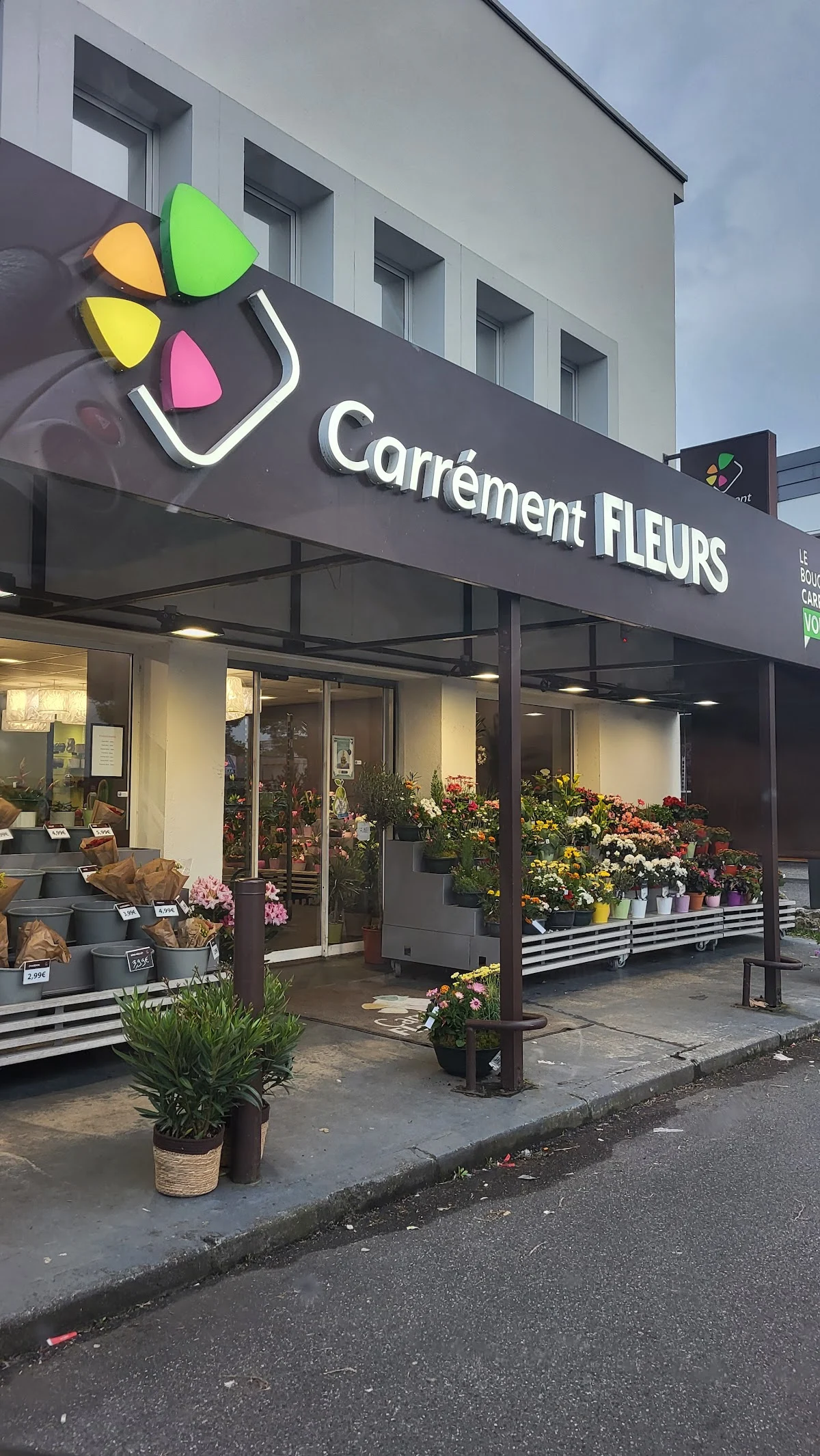 Carrément Fleurs - Fleuriste Toulouse Balma 31 - Livraison de fleurs à domicile