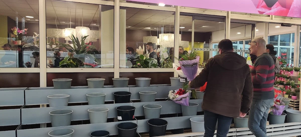 Carrément Fleurs - Fleuriste Toulouse Fronton 31 - Livraison de fleurs à - 2