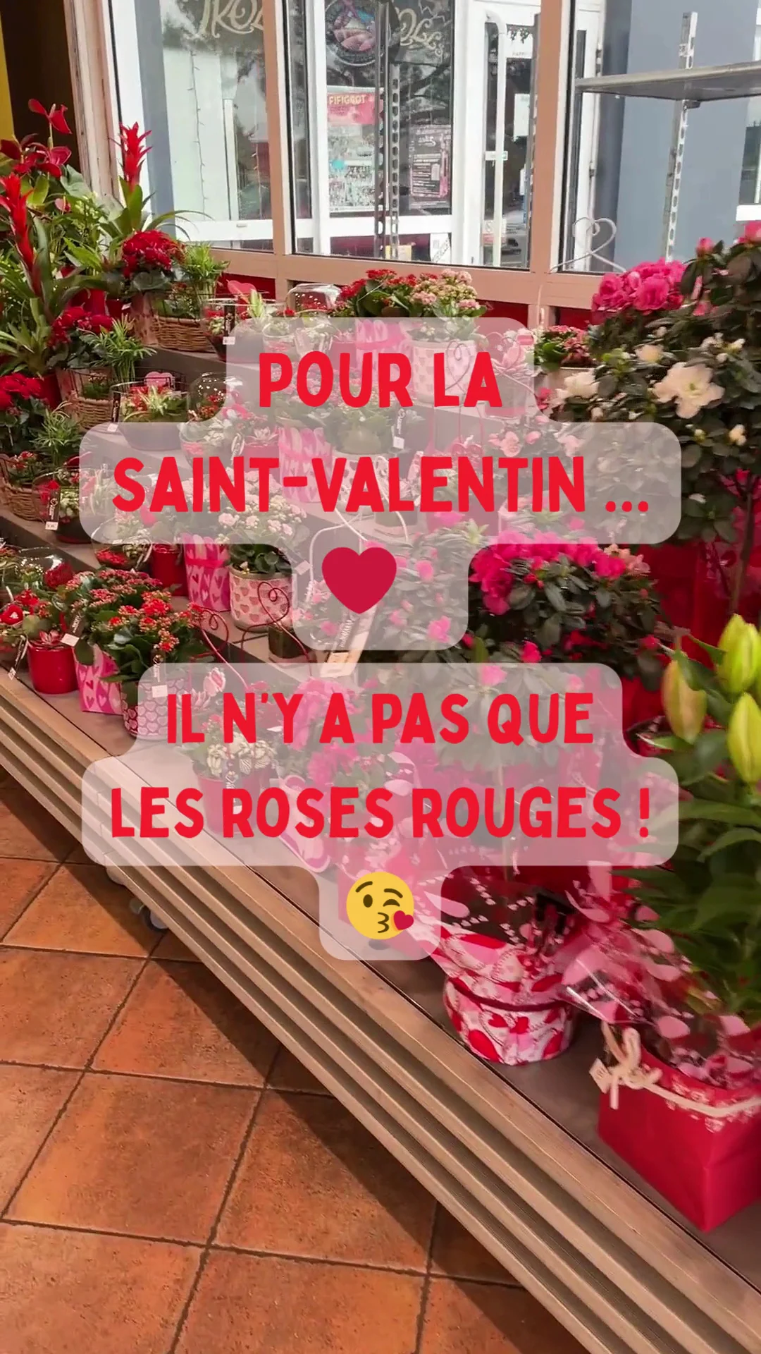 Carrément Fleurs - Fleuriste Toulouse Fronton 31 - Livraison de fleurs à - 3
