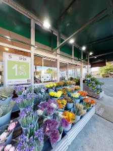 Carrément Fleurs - Fleuriste Toulouse Fronton 31 - Livraison de fleurs à - 5