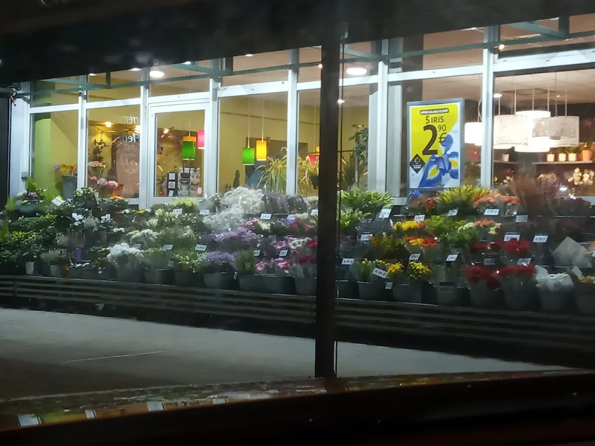 Carrément Fleurs - Fleuriste Toulouse Fronton 31 - Livraison de fleurs à