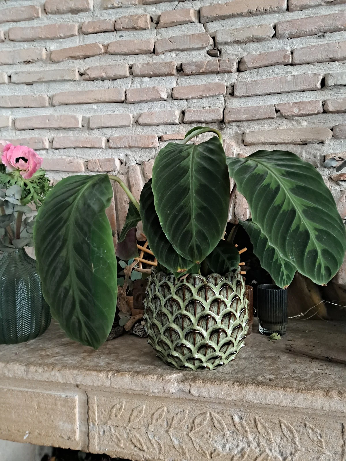 Casa Flores - Fleuriste Écoresponsable | Fleuriste Vienne - 3