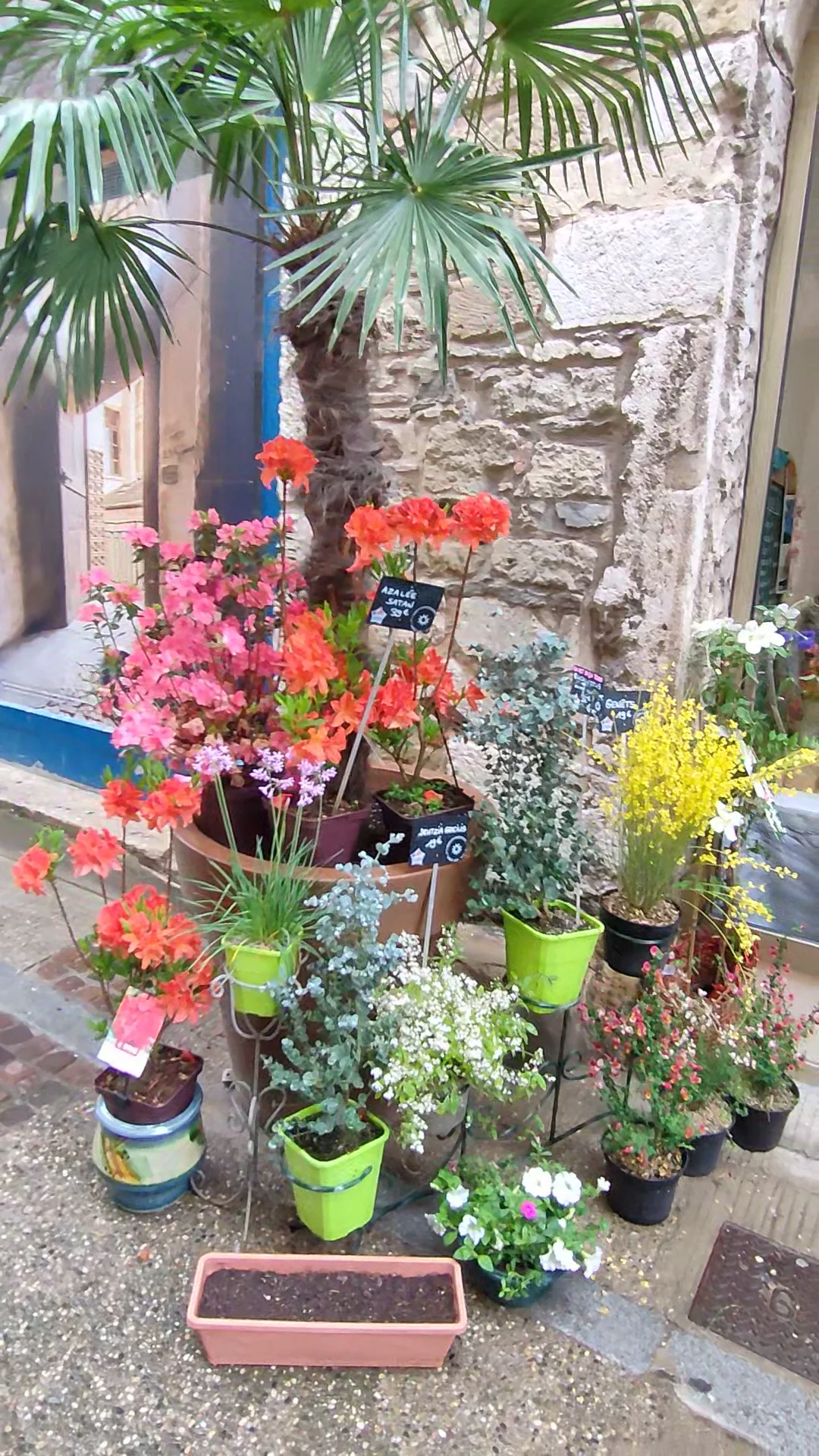 Casa Flores - Fleuriste Écoresponsable | Fleuriste Vienne - 4
