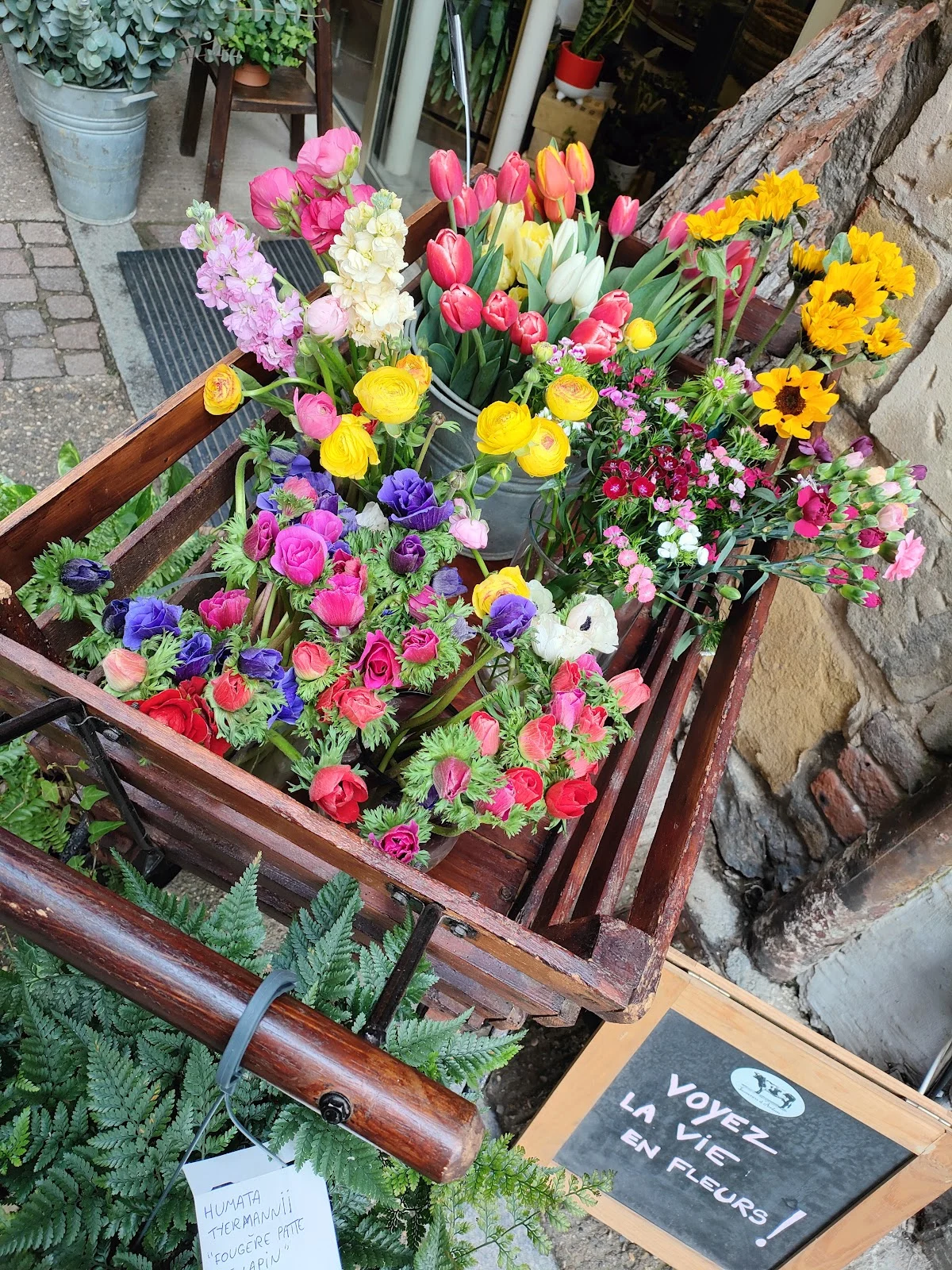 Casa Flores - Fleuriste Écoresponsable | Fleuriste Vienne - 6