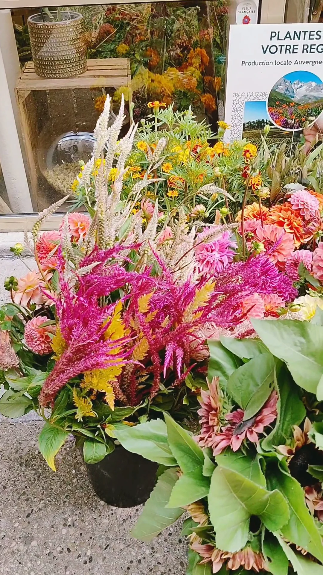 Casa Flores - Fleuriste Écoresponsable | Fleuriste Vienne - 8