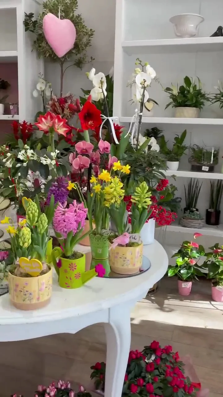 CAUSSADE FLEURS - 3