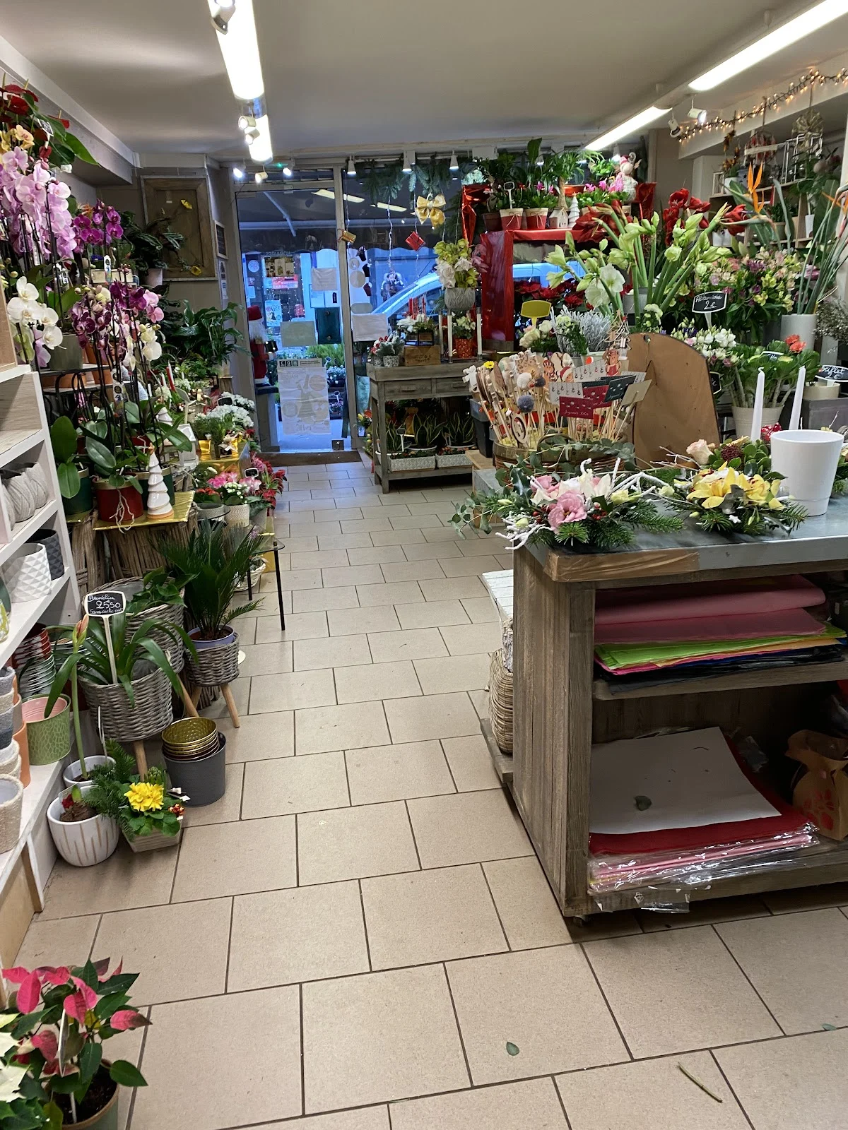 C'D Fleurs, Artisan Fleuriste Rouen - 2