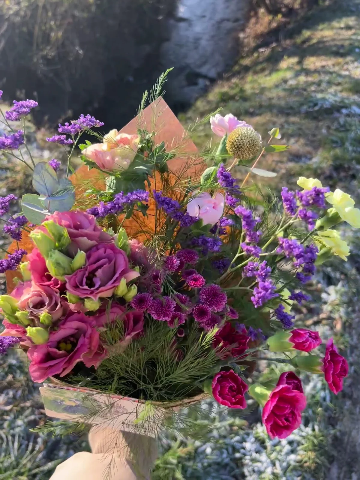 Celosia Fleurs - 3