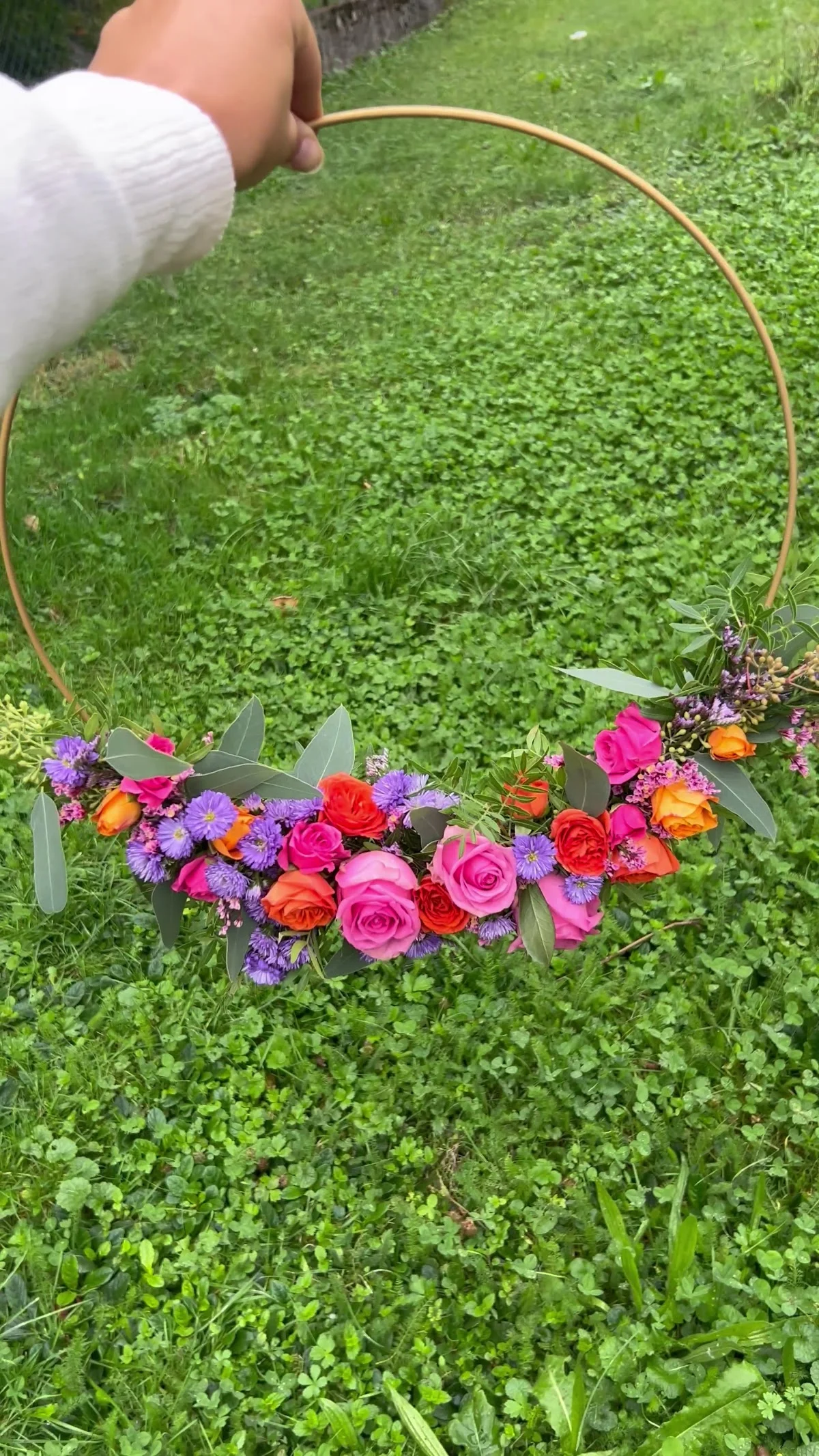 Celosia Fleurs - 4