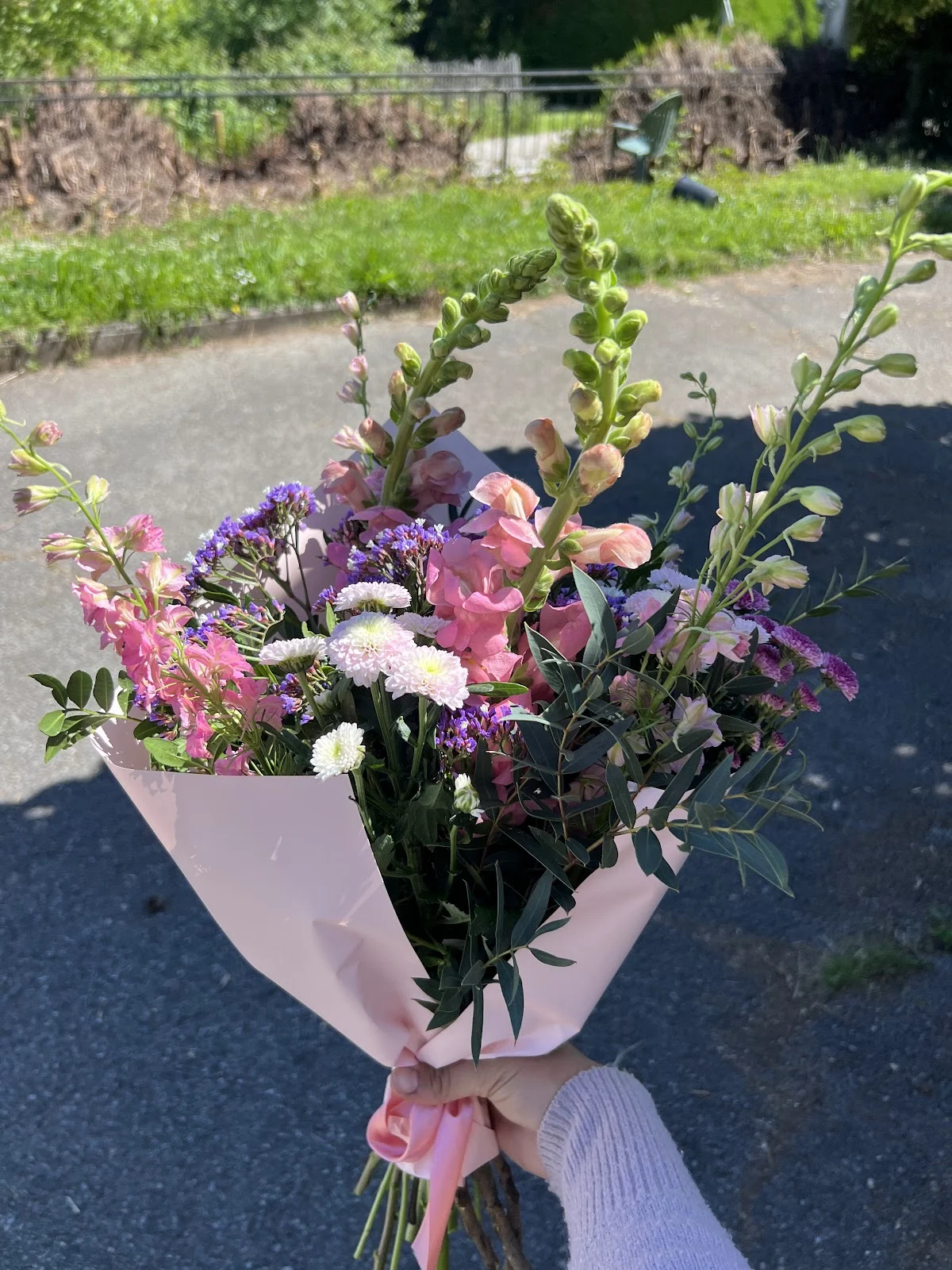 Celosia Fleurs