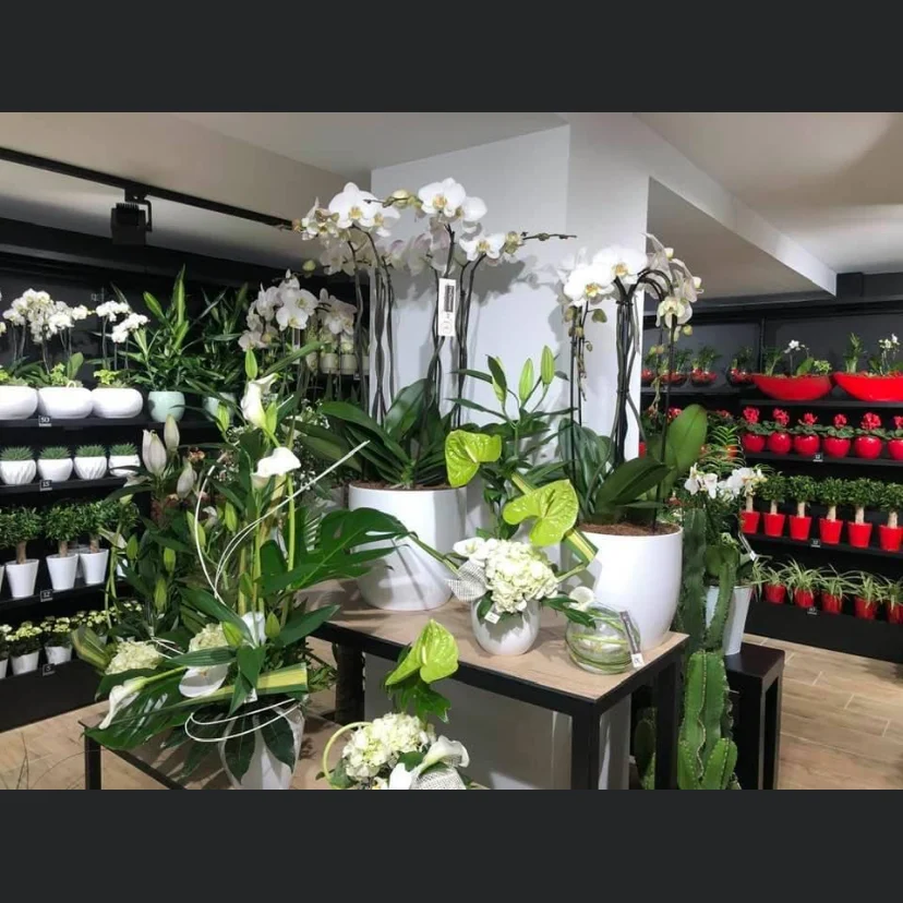 C'est le Bouquet - 2