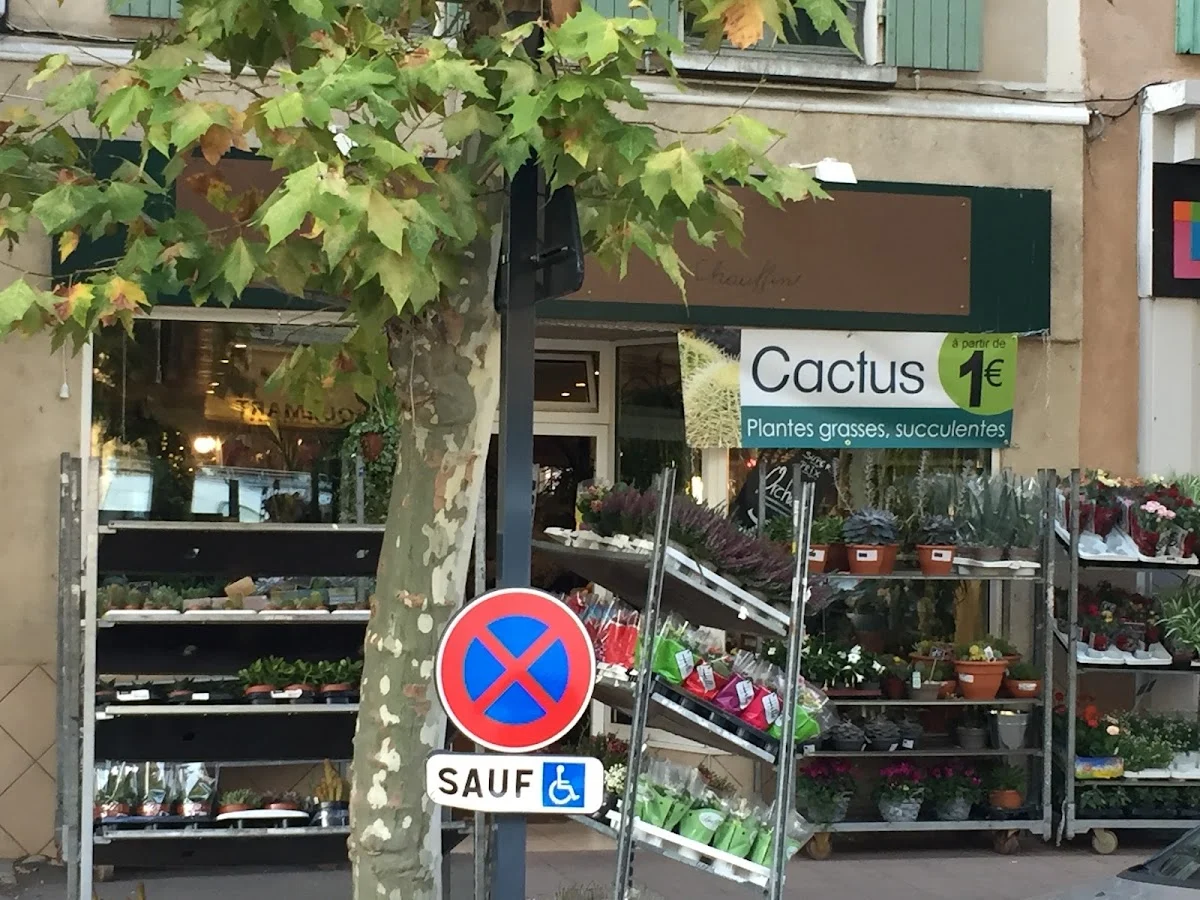 Chauffin Fleurs - 2