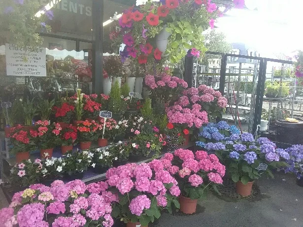 Chez La Fleur - 2
