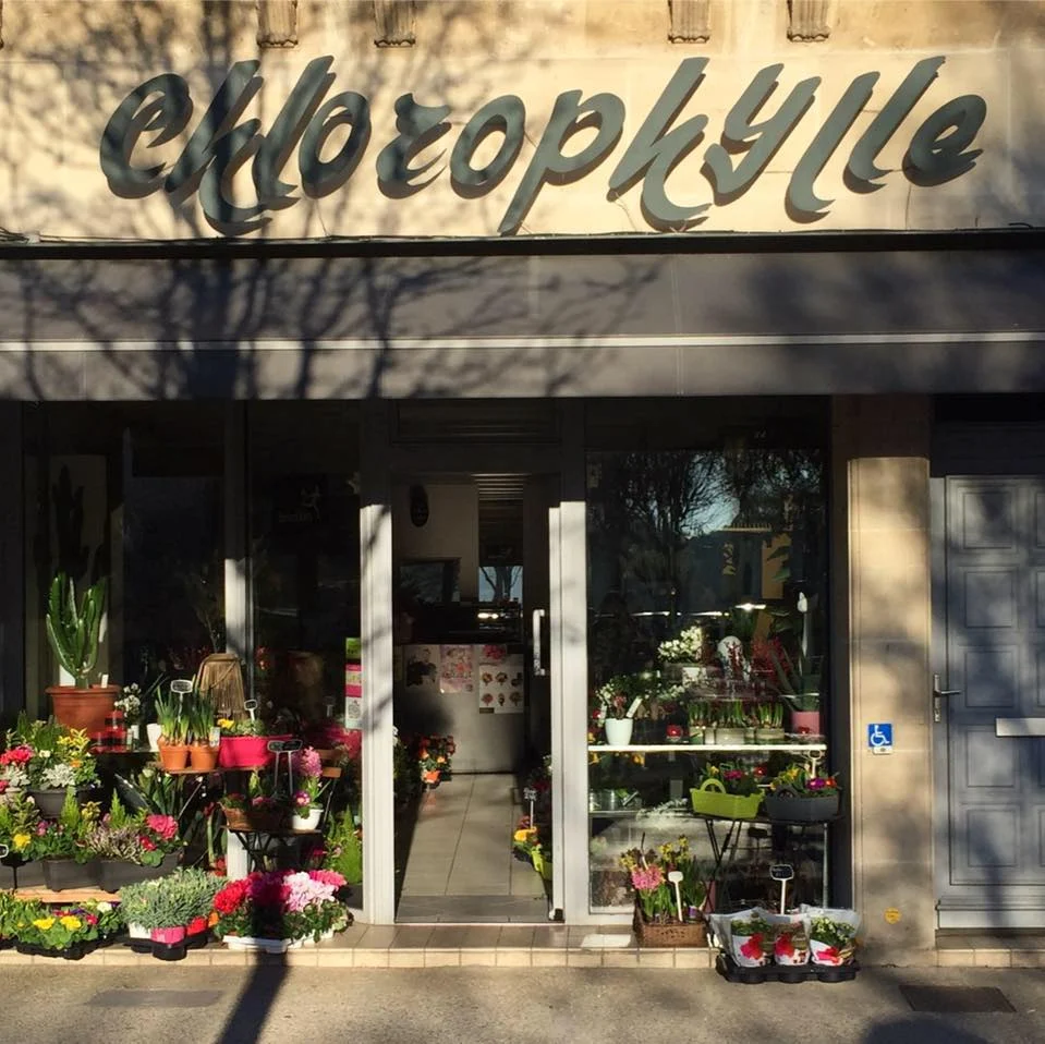 Chlorophylle Artisan Fleuriste Bar le Duc - 2