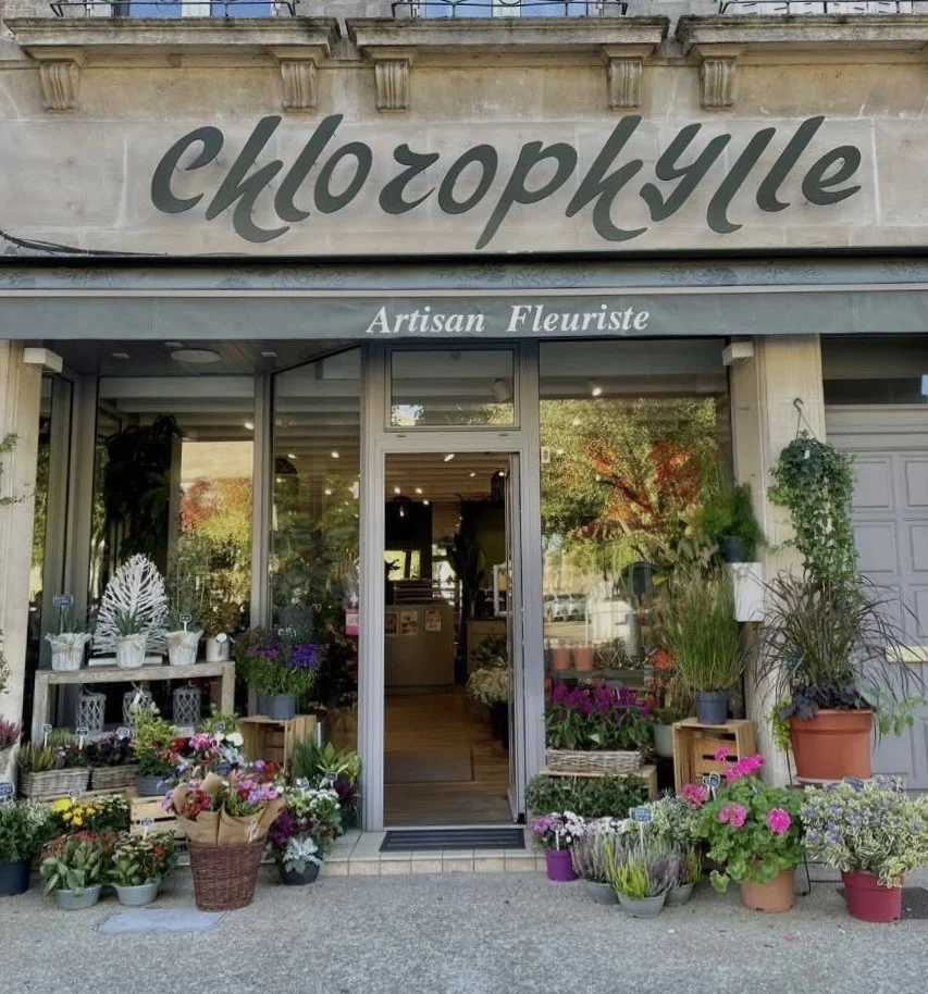 Chlorophylle Artisan Fleuriste Bar le Duc - 5