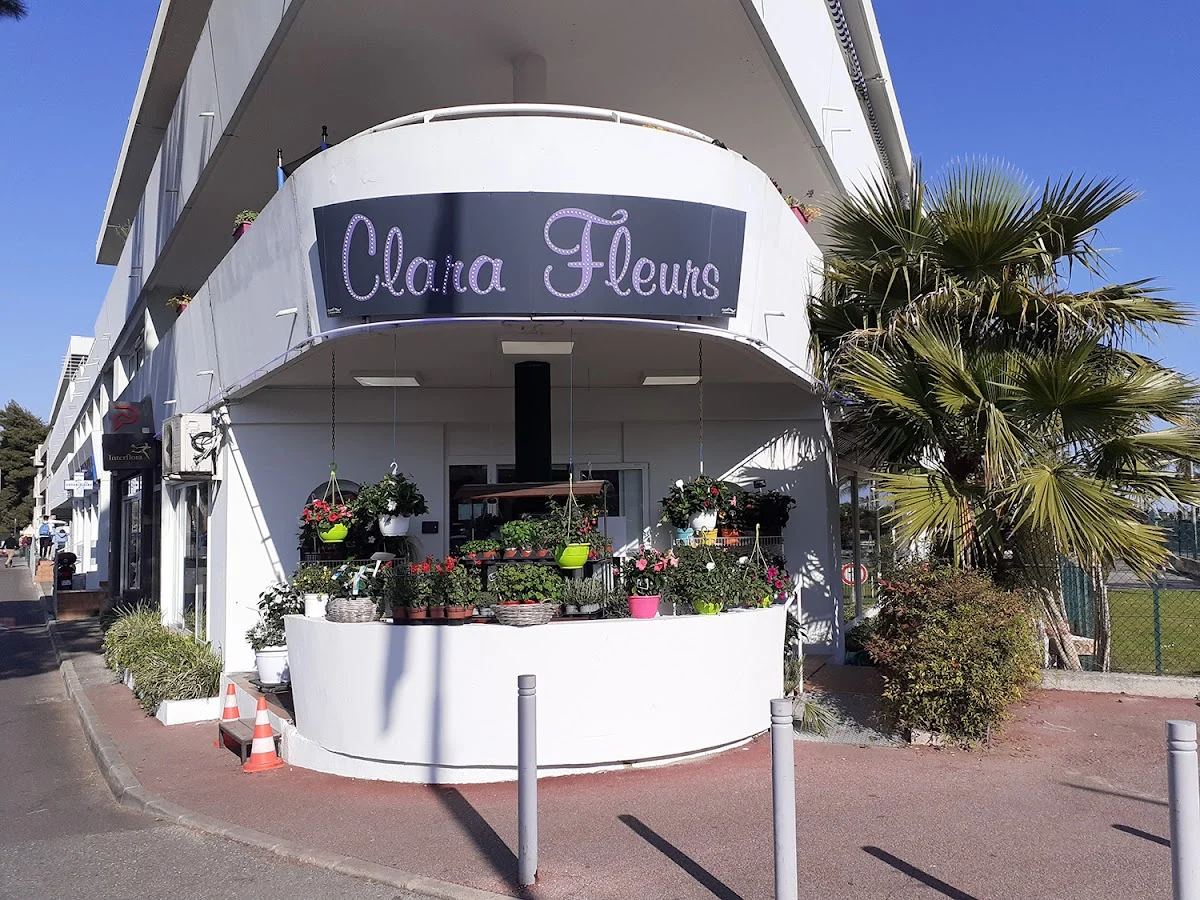 Clara fleurs