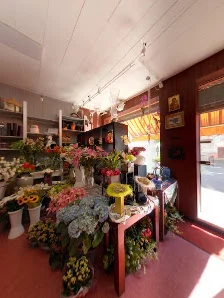 CLAUDE FLEURS - 4