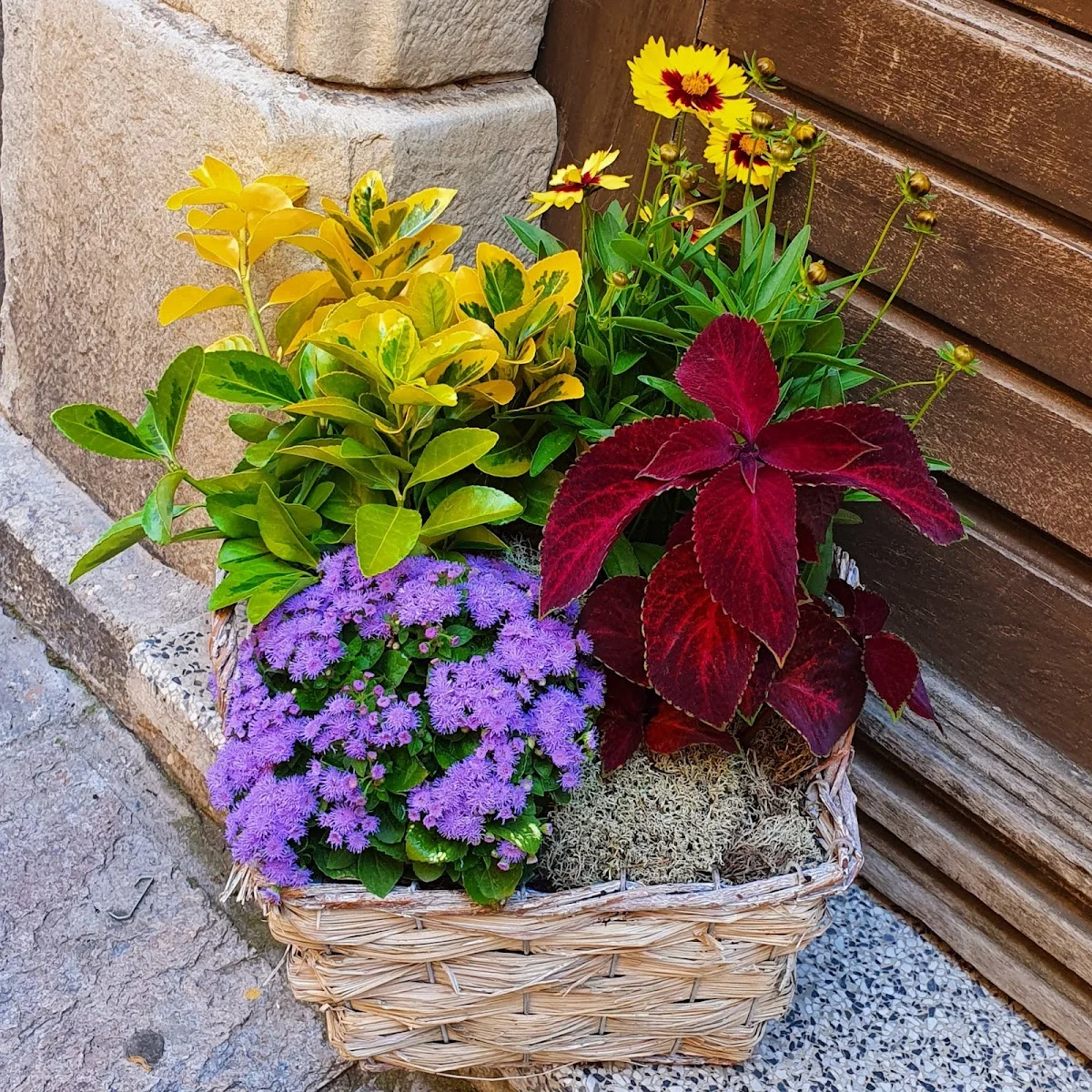 Cœur d'Artichaut | Fleuriste Bastia - 3