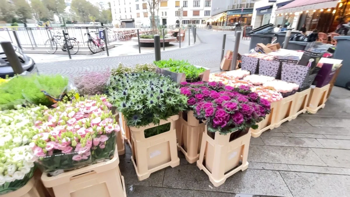 Collin Fleurs | Neuilly-sur-Seine - 3