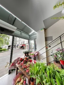 Collin Fleurs | Neuilly-sur-Seine - 4